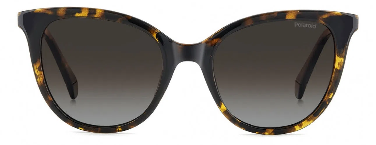 Polaroid Core PLD4184 Sunglasses - view 8